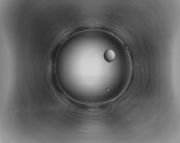 X0000110670744200906121309
