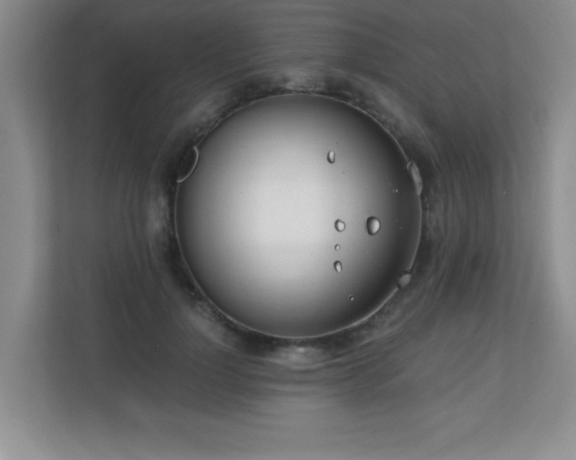 X0000110670748200906121309