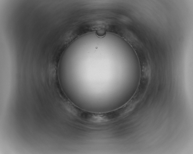 X0000110670753200906121309