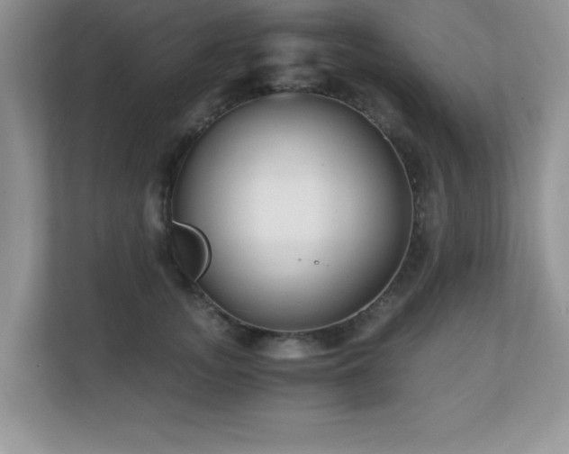 X0000110670755200906121309