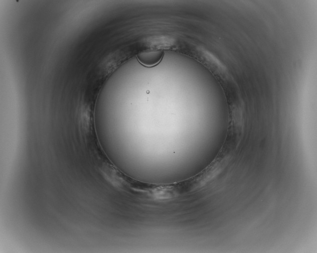X0000110670761200906121310