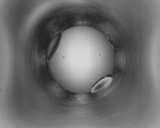 X0000110670762200906121310
