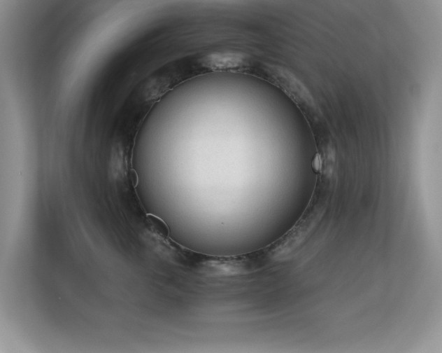 X0000110670763200906121310