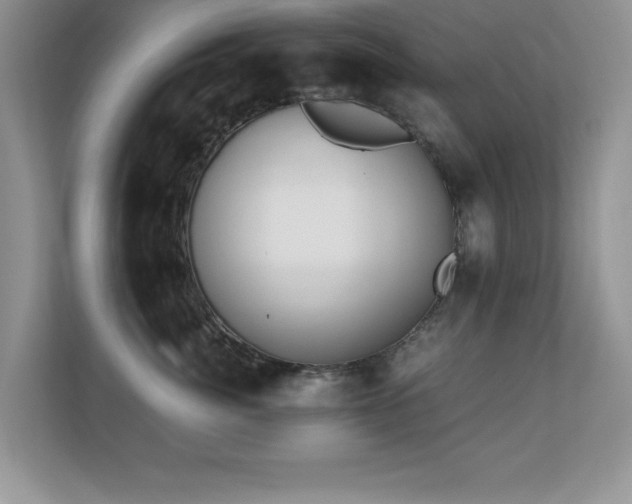 X0000110670764200906121310