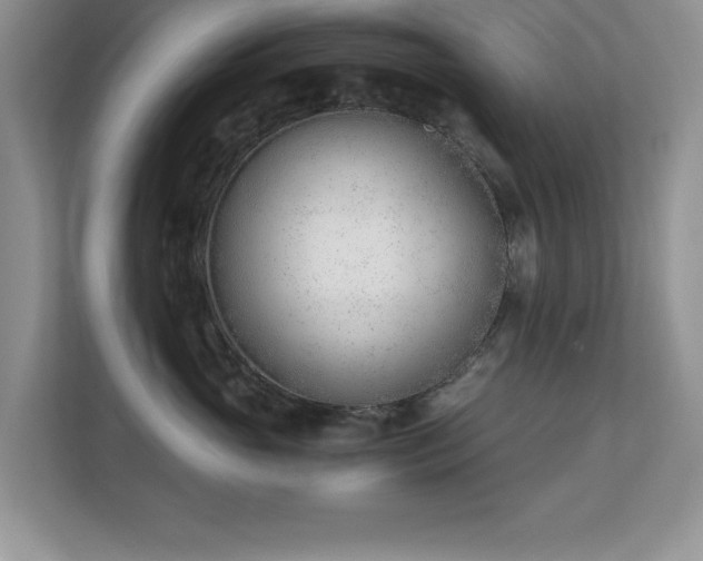 X0000110670765200906121310