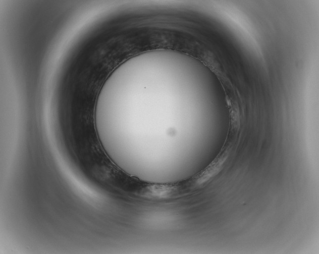 X0000110670766200906121310