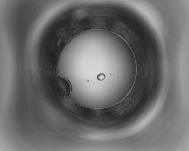 X0000110670767200906121310