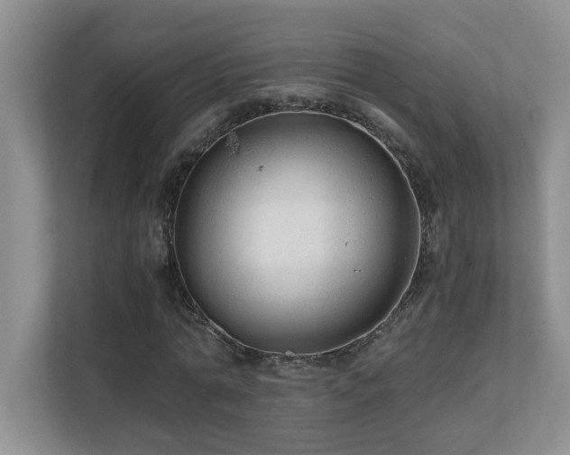 X0000110670774200906121309