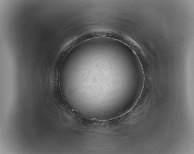 X0000110670775200906121309