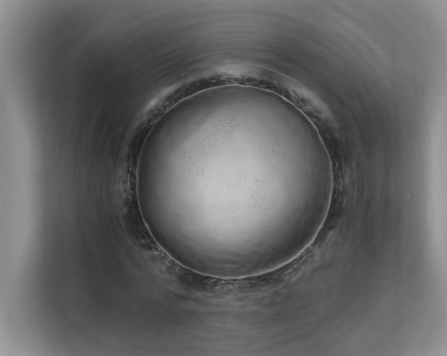 X0000110670776200906121309