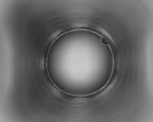 X0000110670777200906121309