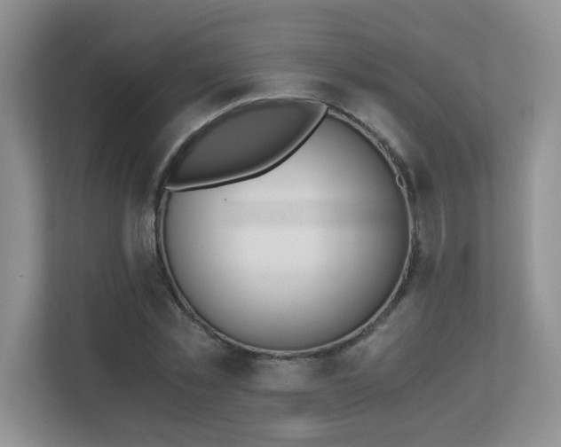 X0000110670781200906121309