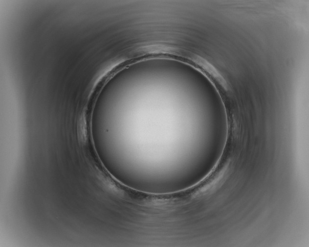 X0000110670782200906121309