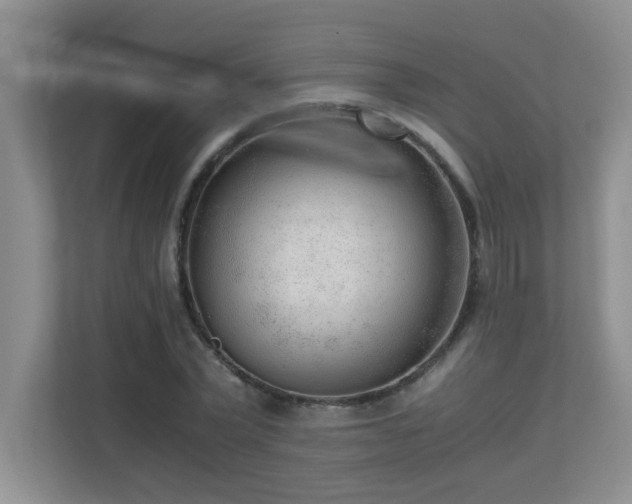 X0000110670783200906121309