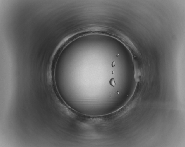 X0000110670784200906121309