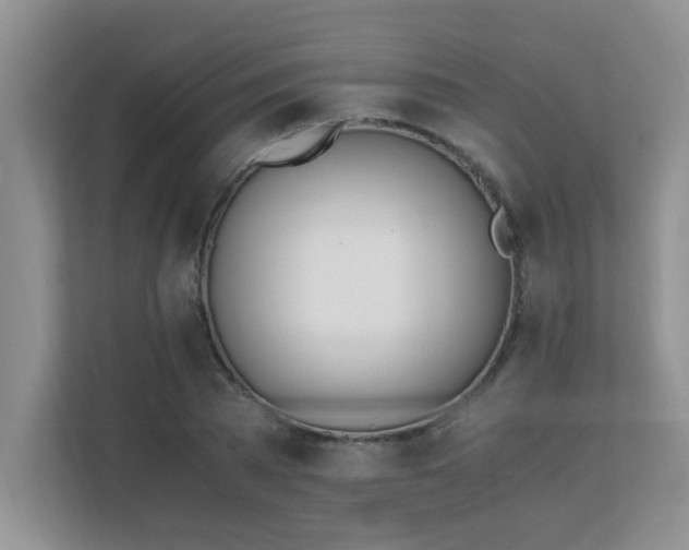 X0000110670785200906121309