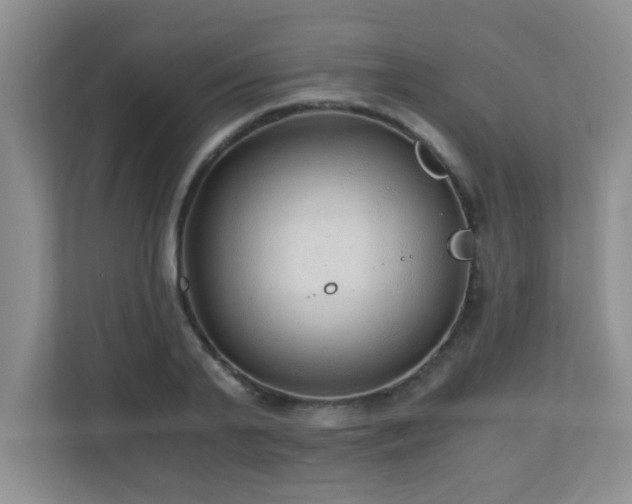 X0000110670791200906121309