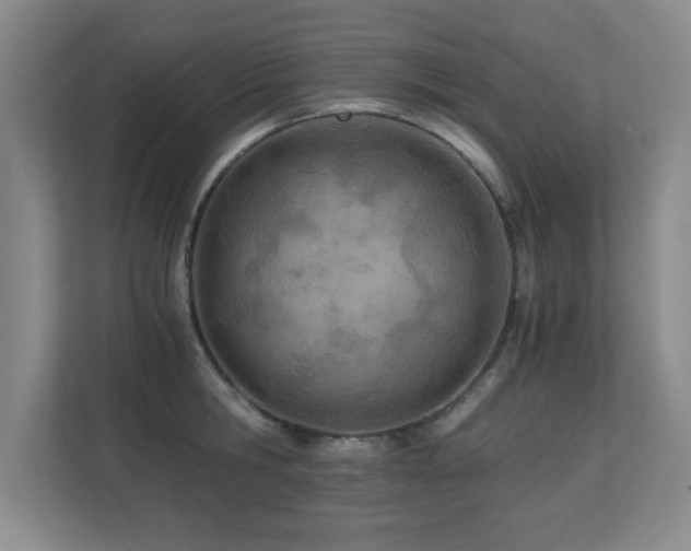 X0000110670806200906121308