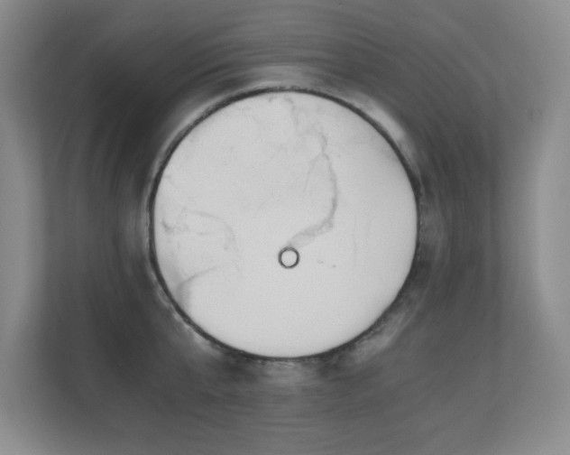 X0000110670807200906121308