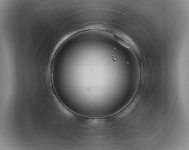 X0000110670808200906121308