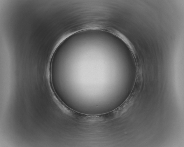 X0000110670811200906121308