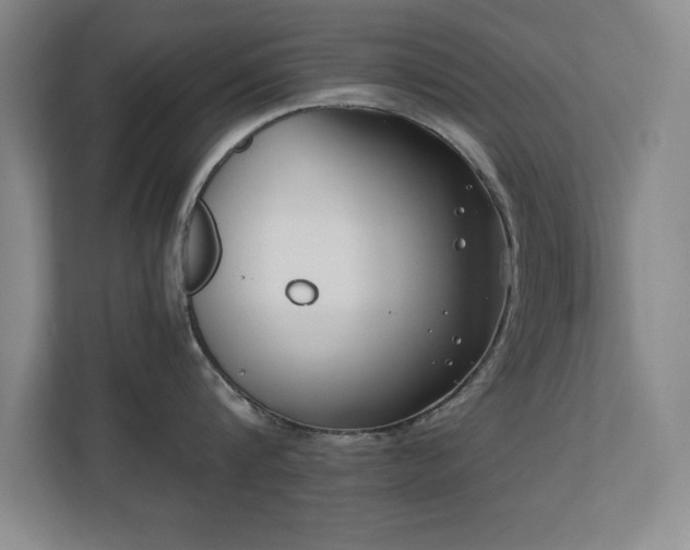 X0000110670816200906121308