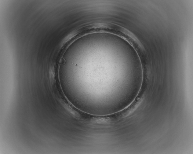 X0000110670826200906121308