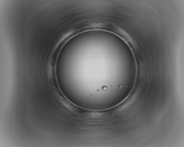 X0000110670827200906121308