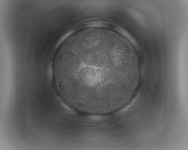 X0000110670829200906121308