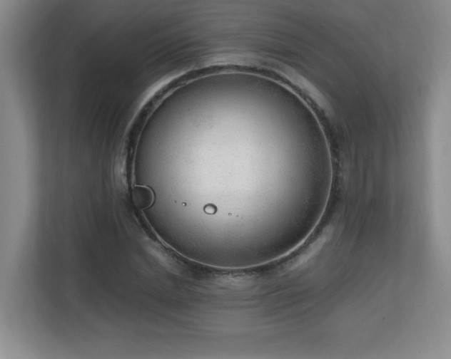 X0000110670830200906121308