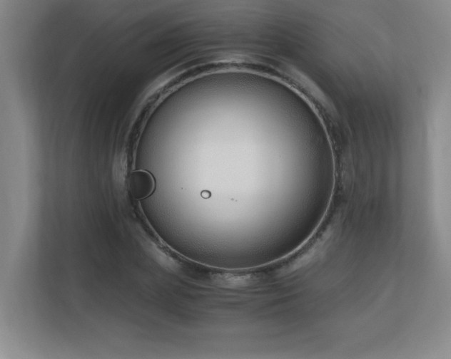 X0000110670831200906121308