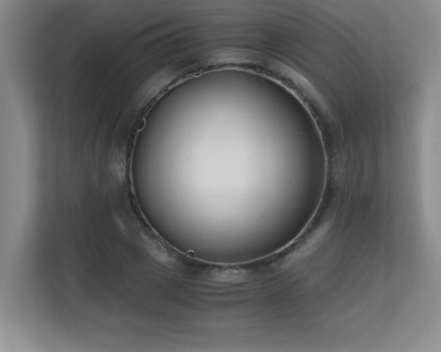 X0000110670833200906121308