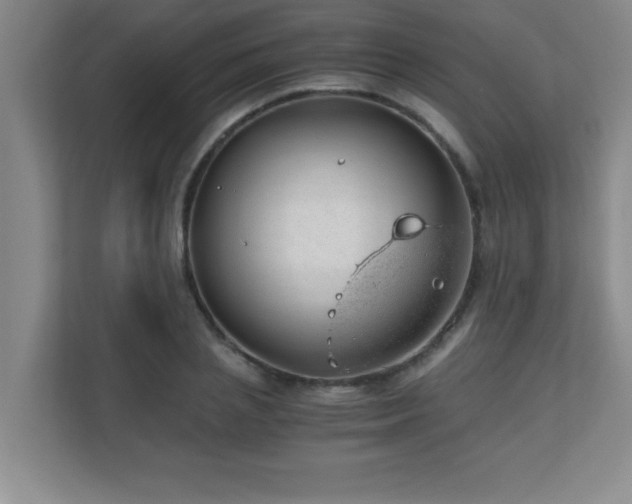 X0000110670837200906121308