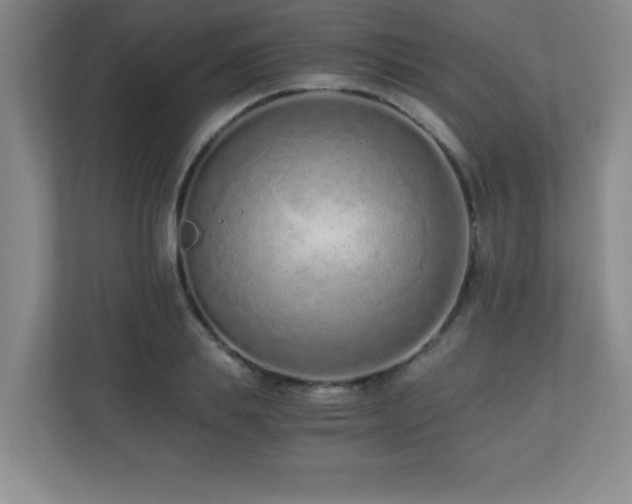 X0000110670839200906121308