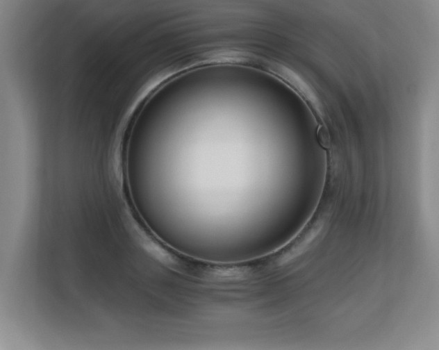 X0000110670843200906121308