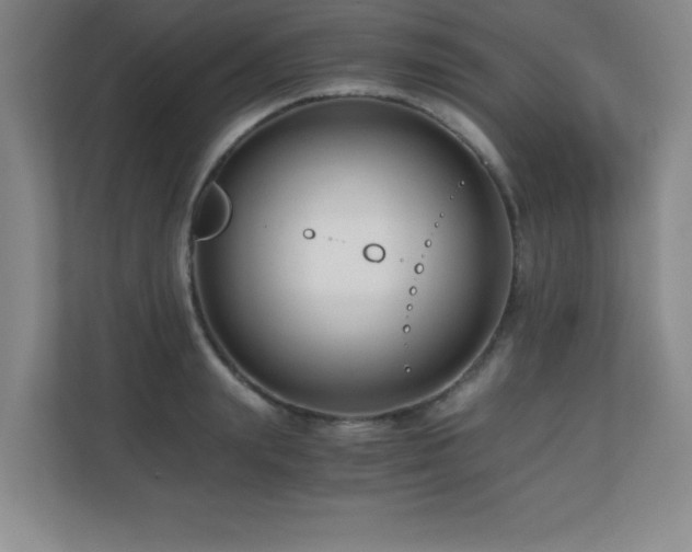 X0000110670847200906121308