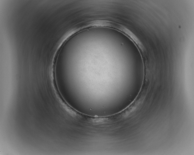 X0000110670853200906121308