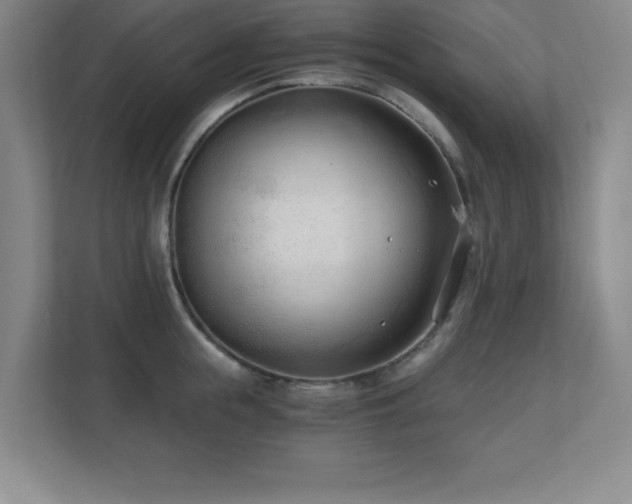 X0000110670855200906121308