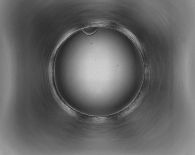 X0000110670859200906121308