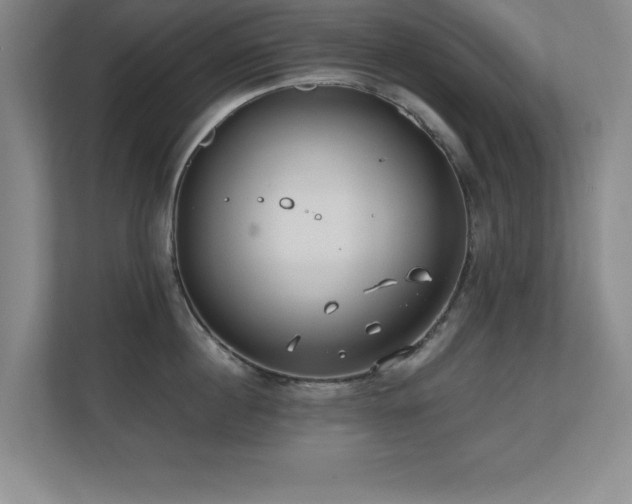 X0000110670860200906121308