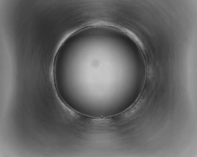 X0000110670863200906121308