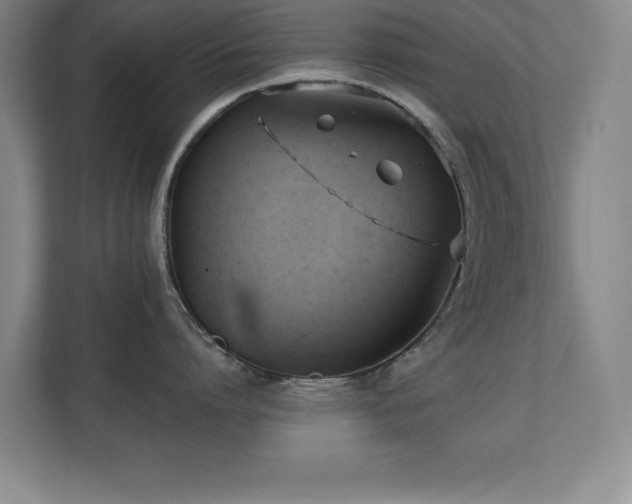 X0000110670864200906121308