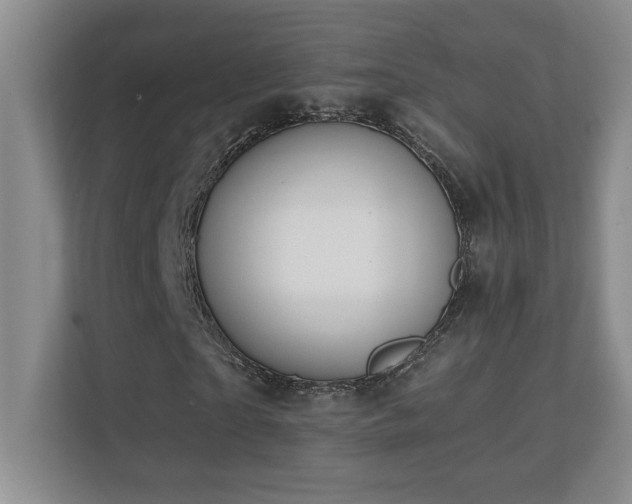 X0000110670865200906121308