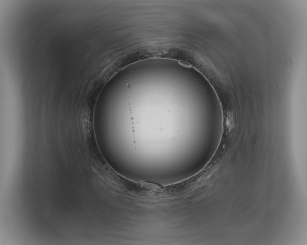 X0000110670867200906121308