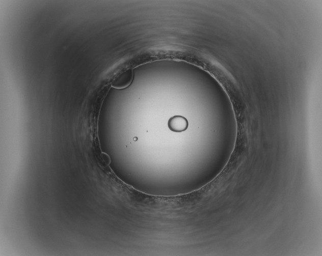 X0000110670870200906121307