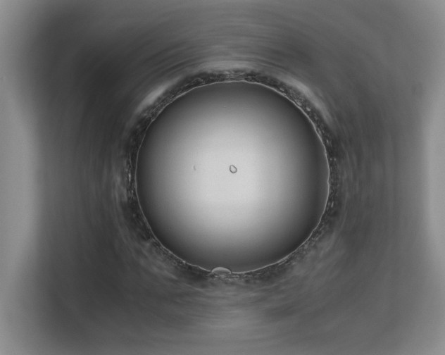 X0000110670871200906121307