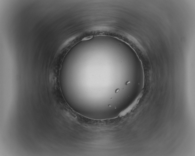 X0000110670872200906121307