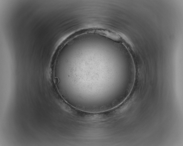X0000110670879200906121307