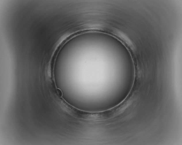 X0000110670883200906121307