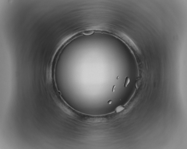 X0000110670884200906121307